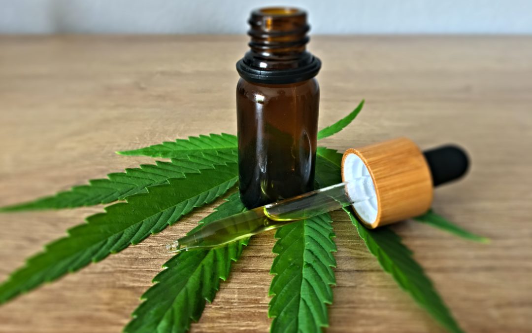 CBD for the Digestive Tract