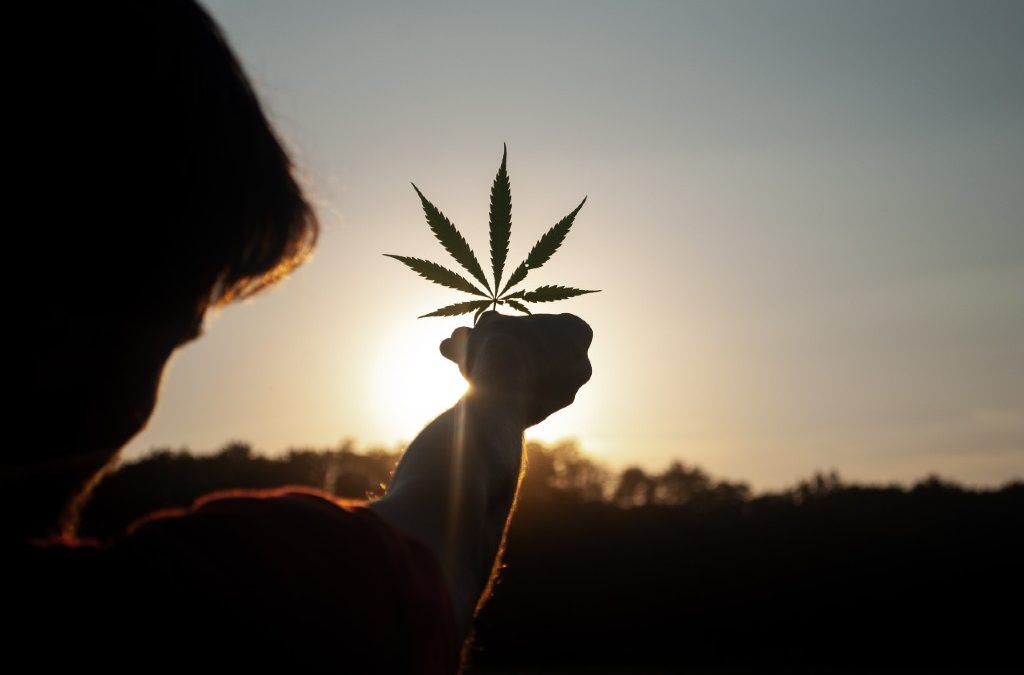 Cannabis as Preventive Medicine